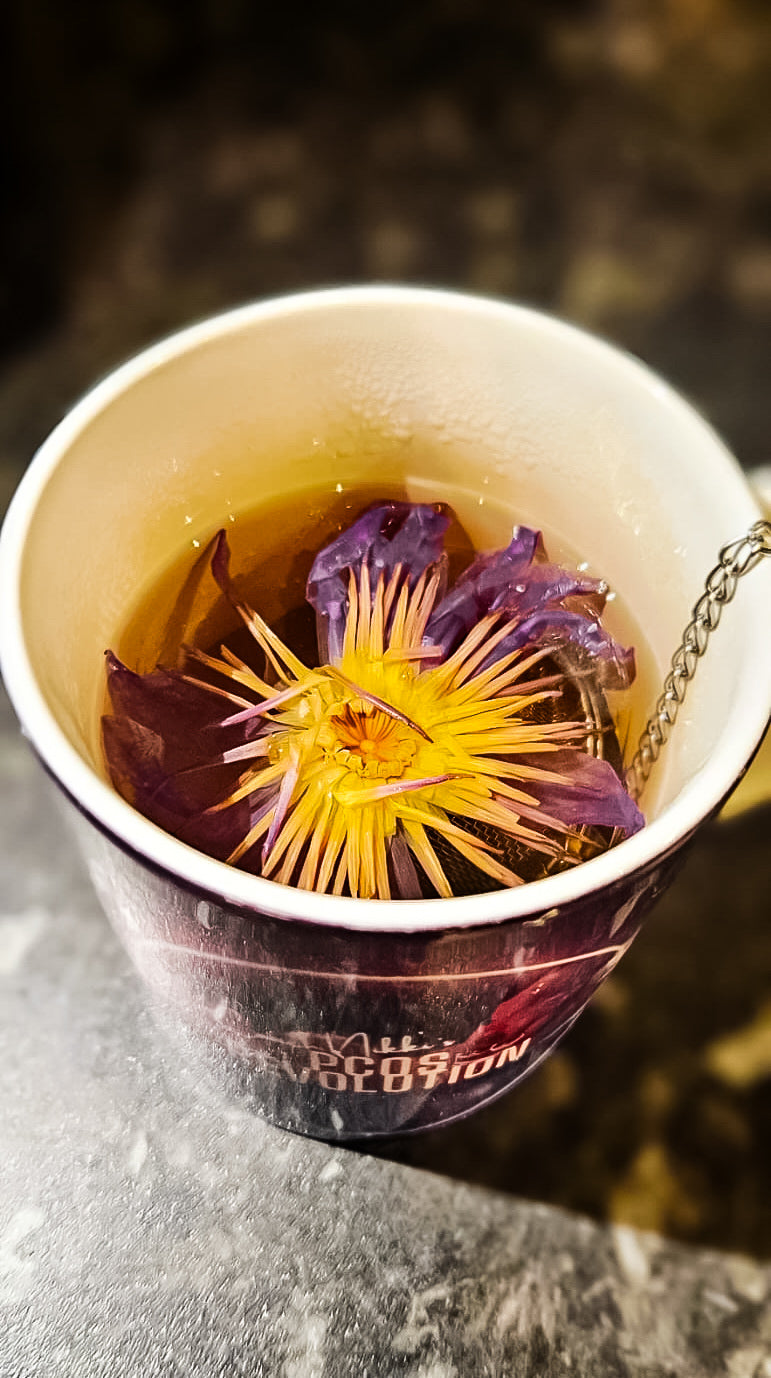 HormoneCode Reset Tea | PCOS Cycle Support Herbal Blend